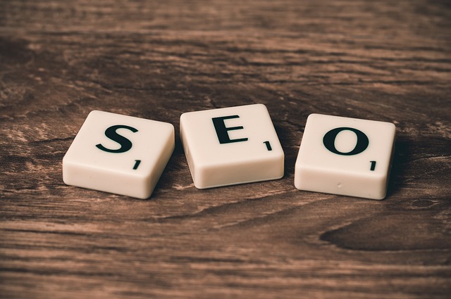 1748519829772991.jpg seo-758264_640.jpg